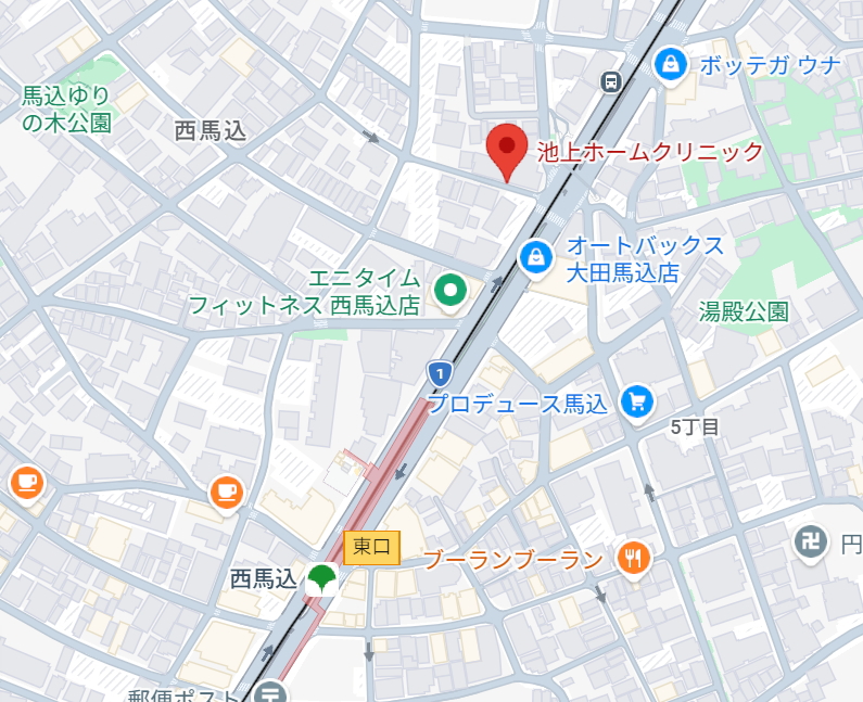 グーグルマップ 池上ホームクリニック
